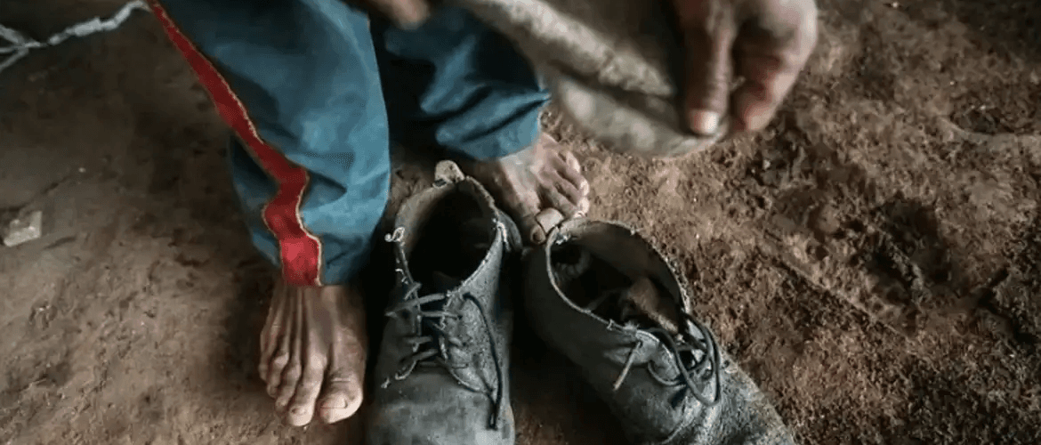 UA investigam Brasil e outros 59 países por suspeita de omissão no combate ao trabalho escravo